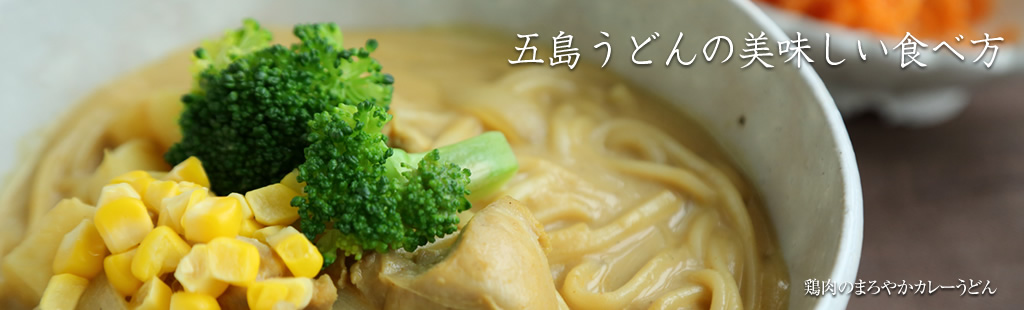 鶏肉のまろやかカレーうどん